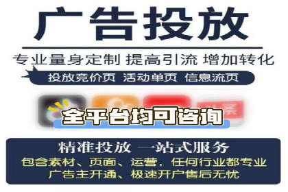 SEM服务优势案例分享